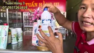 Quản l&iacute; mọt đục c&agrave;nh tr&ecirc;n c&acirc;y c&agrave; ph&ecirc;#c&acirc;y#c&agrave;ph&ecirc;#caytrong#thuocbvtv#nongdan | TUẤN HẰNG 3