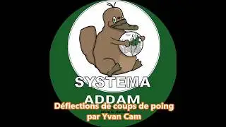 Systema Toulouse ADDAM  Yvan Cam et Roger Beschon  d&eacute;flection de la frappe