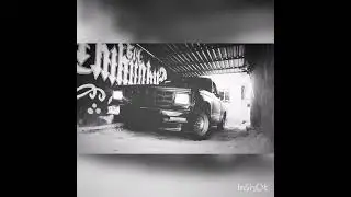Stilo Bajito chiwas 614