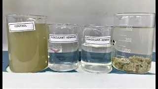 Dairy Industry Effluent Treatment