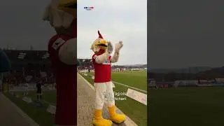 Maskottchen f&uuml;r einen Tag! Reporter Felix macht den Test #rtlhessen #maskottchen #steinbach #hessen