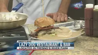 Bailey&rsquo;s Bites: Lazy Dog now open in Fresno Part 3