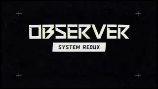 Observer System Redux