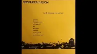 V-Effect - They Can't Get It [Peripheral Vision Comp., 1982]