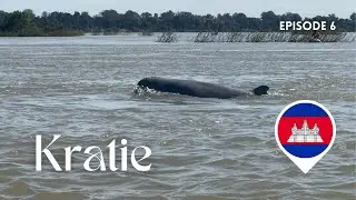 ÉPISODE 6 | Les derniers dauphins du Mékong