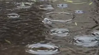 Rain fall sound - simple peaceful relaxing and soothing for long duration