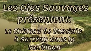 Ch&acirc;teau de Suscinio &agrave; Sarzeau dans le Morbihan (56)