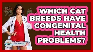 Which Cat Breeds Have Congenital Health Problems? - Ask A Pet Vet