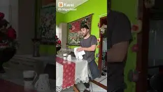 psicologia persa vai al&eacute;m da intelig&ecirc;ncia  do gatinho