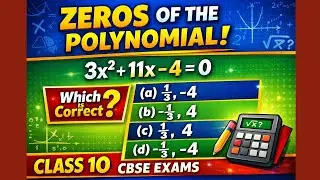Zeros of the Polynomial | Class 10 Maths MCQ | 3x&sup2; + 11x &minus; 4 | CBSE Board