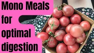 Vegan Diet (Mono Meals) for Optimal Digestion