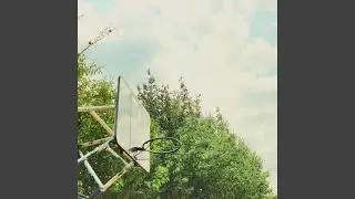 Summer Lies