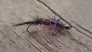 ISO(ISONYCHIA) NYMPH