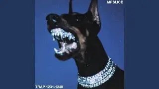 TRAP ONE THOUSAND N TWO HUNDRED N THIRTY NINE
