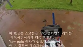 QAV500 gain 튜닝영상