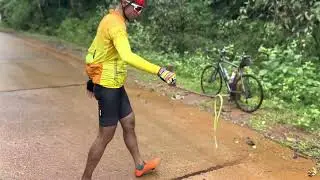 Hit & Run! Green vine snake roadkill in the Western Ghats I Team Parikrama