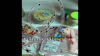 funnyflipper - funnyflipper (full album)