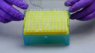 Tarson product video for Carboys, pipette tips, cryochill vials and centrifuge tubes