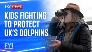 FYI: Kids fighting to protect UK's dolphins