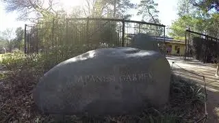 Hermann Park / Japanese Garden. Busy Afternoon Walk. Houston, TX.