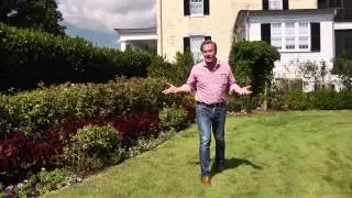 Organic Lawn Fertilizer