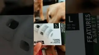 AUGUST 2022 BarkBox Subscription UNBOXING -#Shorts