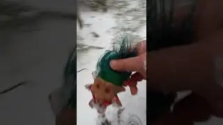 Спасение маленького тролля