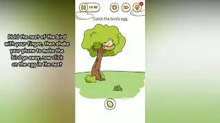 Brain Find Level 82 Catch the birds egg