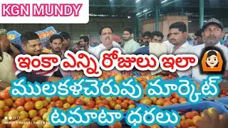 29/01/25 Mulakalacheruvu Tomato Market price Today || Today Tomato Market rate in Mulakalacheruvu