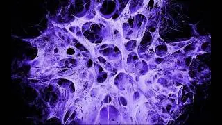 dj speedfreak - dj re-fuck (fucked up remix)