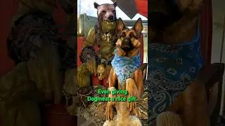 Уникальное взаимодействие Эриксона и Псины в Fallout 4