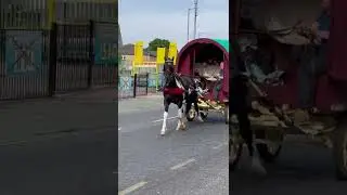 Horse & Wagon, Amazingly Beautiful Gypsy Vanner Horse, 🇬🇧