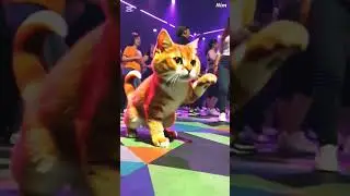 dancing cat😺 😺funni dance #caption # your# short# video#cute#love#cat #kaiya #dance hai bhai maza