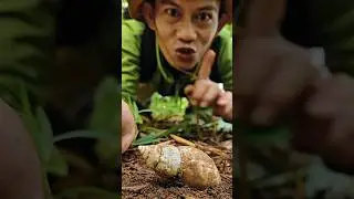 IT TURNS OUT! Millipedes love snail shells 😅😰 #shorts