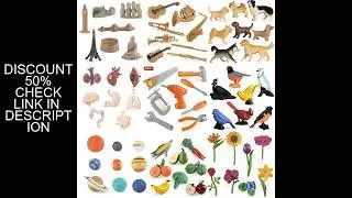 Oenux Montessori Tool Organ Vegetable Fruit Animals Brinquedo Model Action Figure Figurines Miniatur