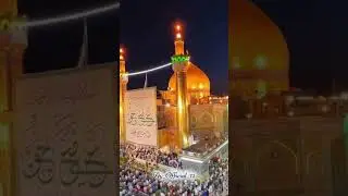 Amirul hub Ali (a.s) | 2026 | #shiastatus #shorts