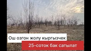  Срочно ‼️ Ош озгон жолу 25-соток бак кыргыз чек (0705) 795-795.баасы650мин сом ‪+996 558 795 795‬