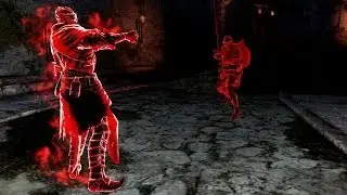Dark Souls 2 Dark spirit Royal sorcerer Navlaan boss fight Dark Souls II