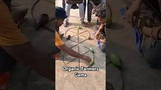 Organic Farmer Games #smartorganicfarm #farming #farmhouse #farmtotable #funfarm #vegetables