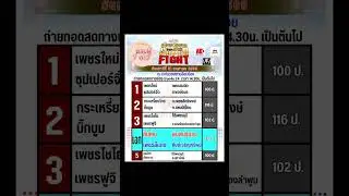 วิจารณ์มวย ศึกtrue4Uเกียรติเพชร เสาร์ที่31 ม.ค. 69 #พร้อมฟอร์มหลังและแนวทางการเล่น #byนักสู้มือป่าว 