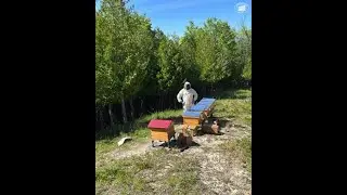 Duffy Homestead Honey Bee Awareness Day 2025