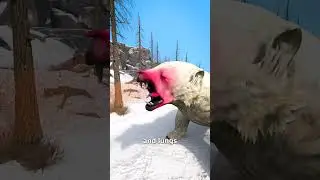 Using Bear Spray On A Polar Bear 😨