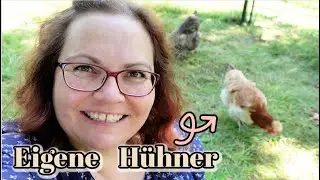 HÜHNER IM GARTEN 🐔 Berta, Ronja, Tokyo und Havanna machen bei uns Urlaub