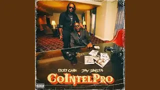 CoIntelPro