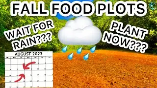 FALL FOOD PLOTS. WAIT 4 RAIN OR PLANT???