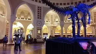Dubai Mall's 155 million-year-old original dinosaur skeleton