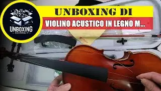 Violino Acustico in Legno Massello per Principianti Adulti Full Size Concerto