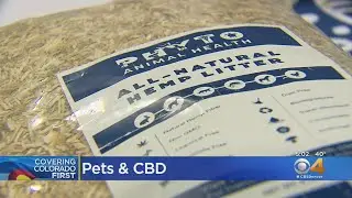 Pet Owners Check Out CBD & Hemp Show To Learn More