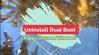 Puppy Linux: Uninstall Dual Boot On Windows