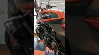 中免で乗れる350cc ハーレー　#shortvideo #バイク ＃ハーレーダビッドソン#shorts#harleydavidson